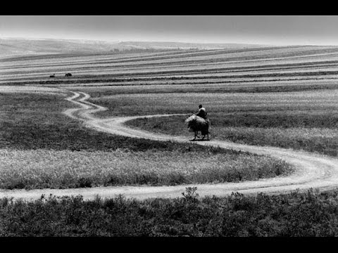 Roads Of Kiarostami