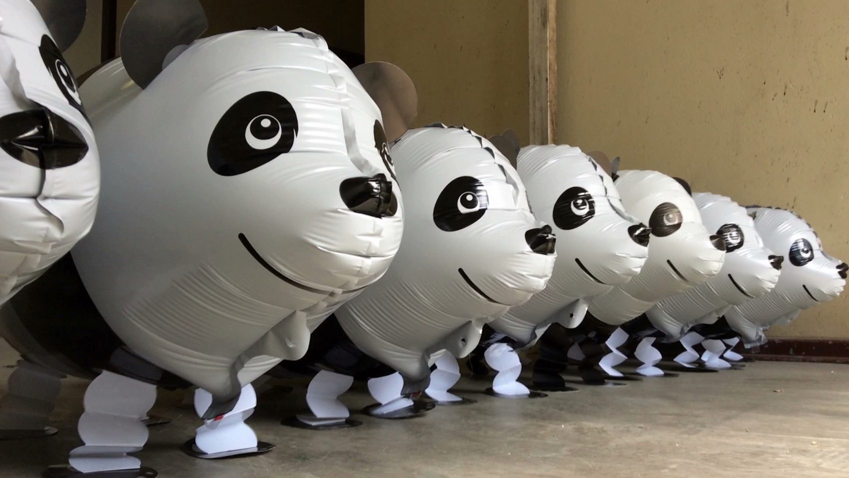Pan­da Moon­walk or Why Meng Meng Walks Backwards