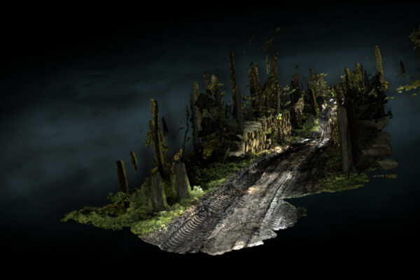 ForestOnLocation_BroersenLukacs_videostill_Courtesy-Akinci-and-the-Artists_BG_dirtroad