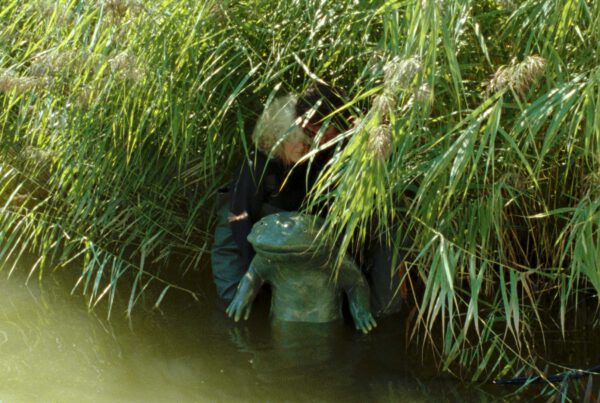 Filmstill aus Der Molchkongresss. Halb in Wasser steht eine Molchfigur zwischen Farnen. Hinter ihr ist ein Puppenspieler zu sehen, der sie steuert.