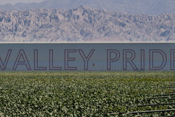 Filmstill aus Valley Pride. Eine Feld. Im Hintergrund ein Berg und eine Lagerhalle mit der Aufschrift Valley Pride.