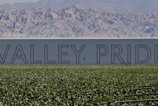 Filmstill aus Valley Pride. Eine Feld. Im Hintergrund ein Berg und eine Lagerhalle mit der Aufschrift Valley Pride.