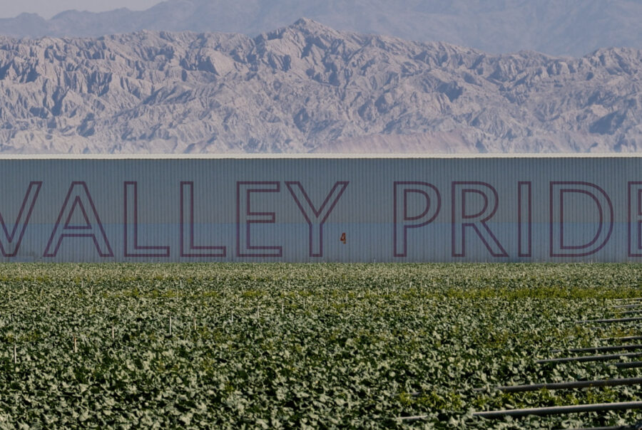 Filmstill aus Valley Pride. Eine Feld. Im Hintergrund ein Berg und eine Lagerhalle mit der Aufschrift Valley Pride.