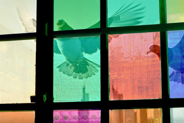 Gerhard_Doves Gerhard_Doves