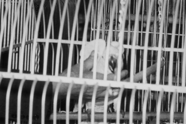 Koki-still4 Koki-still4