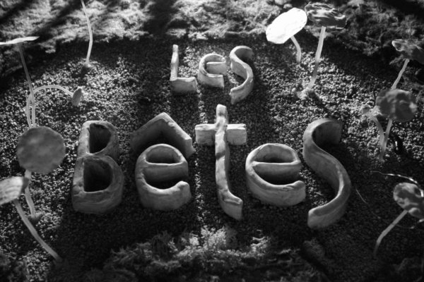 LES-BETES_STILL-PHOTO_1