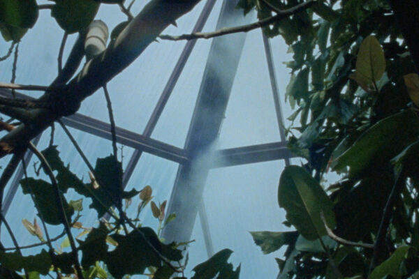 Nido-de-Cocodrilo_Still_1