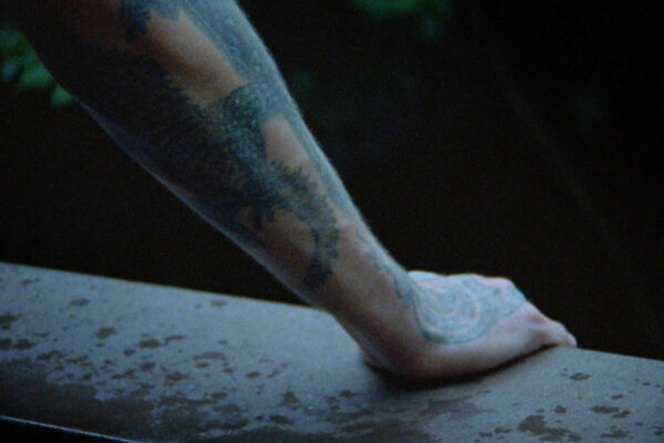 Nido-de-Cocodrilo_Still_4