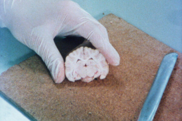 Overwork_CC_Still4 Overwork_CC_Still4