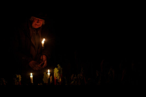 RHUBARB-RHUBARB_DEF.00_01_02_19.Still002