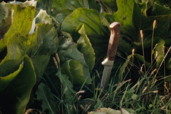 SpaeternteLateHarvest_still_00006