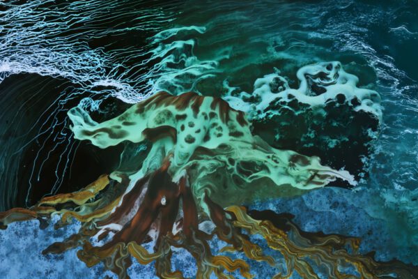 Still-2025-08-20-103415_2.50.1